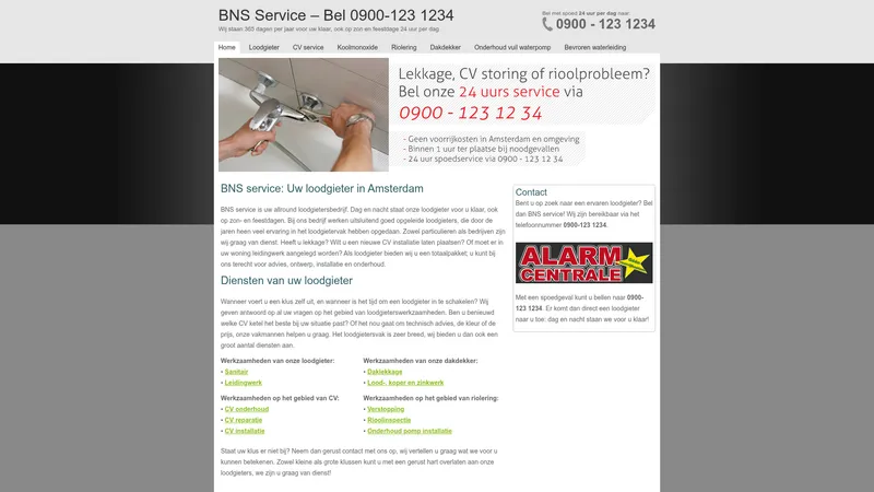 Website van BNS Service