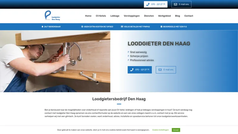 Website van Loodgietersbedrijf Den Haag