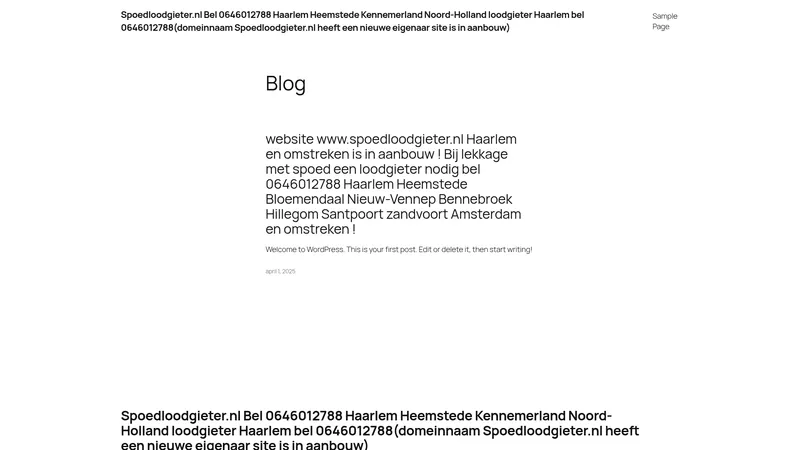 Website van Spoedloodgieter.nl